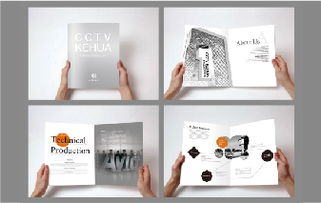 天雨案例 北京logo设计公司的一站式品牌形象构建服务